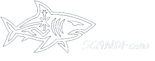 SCANDI.CAM